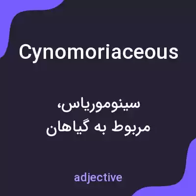معنی cynomoriaceous به فارسی معنی cynomoriaceous به فارسی