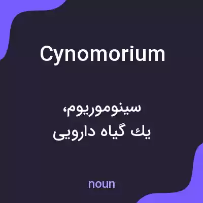 معنی cynomorium به فارسی معنی cynomorium به فارسی