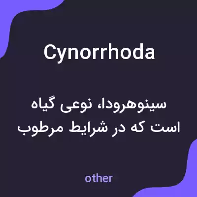معنی cynorrhoda به فارسی معنی cynorrhoda به فارسی