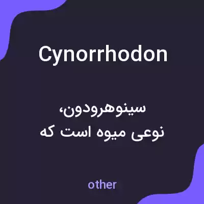 معنی cynorrhodon به فارسی