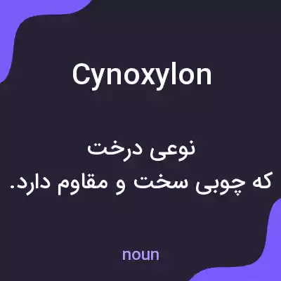 معنی cynoxylon به فارسی