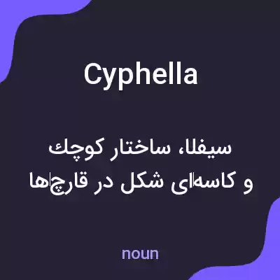 معنی cyphella به فارسی معنی cyphella به فارسی