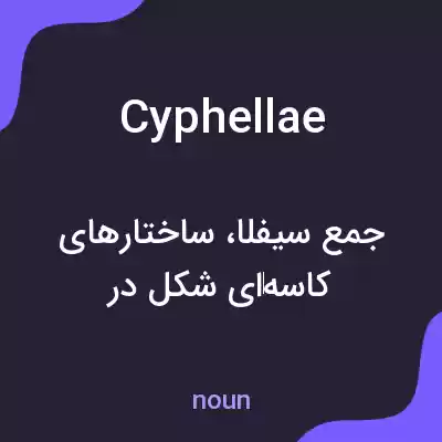 معنی cyphellae به فارسی معنی cyphellae به فارسی