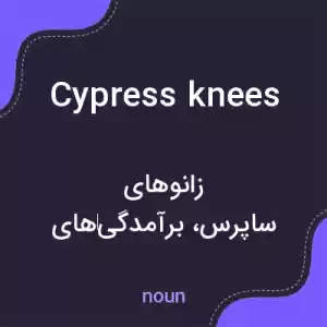 معنی cypress knees به فارسی معنی cypress knees به فارسی