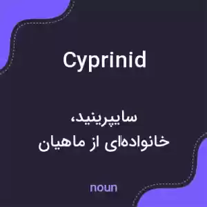 معنی cyprinid به فارسی معنی cyprinid به فارسی