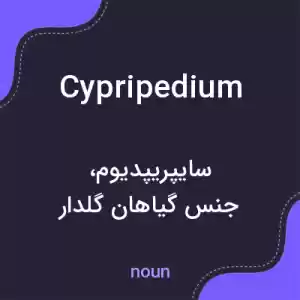 معنی cypripedium به فارسی معنی cypripedium به فارسی