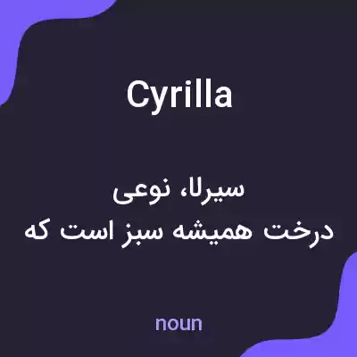 معنی cyrilla به فارسی معنی cyrilla به فارسی