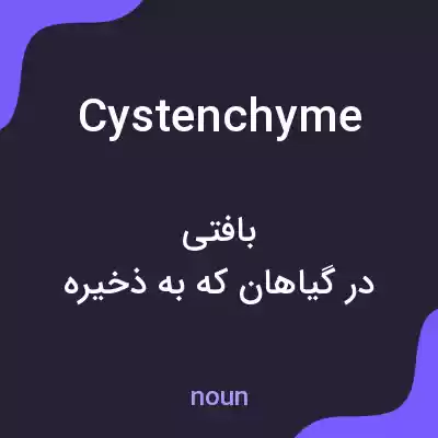 معنی cystenchyme به فارسی معنی cystenchyme به فارسی