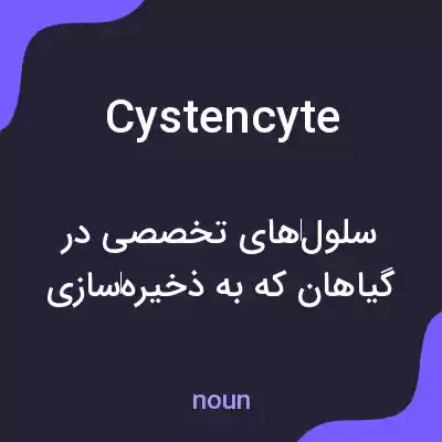 معنی cystencyte به فارسی