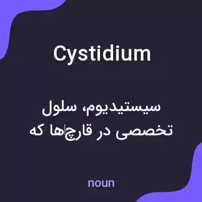 معنی cystidium به فارسی معنی cystidium به فارسی