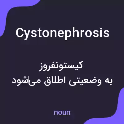 معنی cystonephrosis به فارسی معنی cystonephrosis به فارسی
