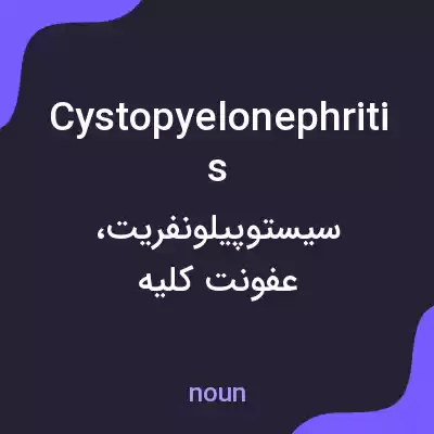 معنی cystopyelonephritis به فارسی معنی cystopyelonephritis به فارسی