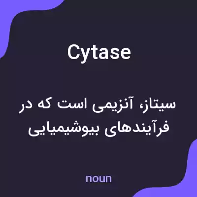 معنی cytase به فارسی معنی cytase به فارسی