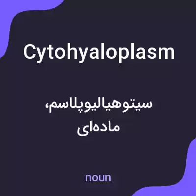 معنی cytohyaloplasm به فارسی معنی cytohyaloplasm به فارسی