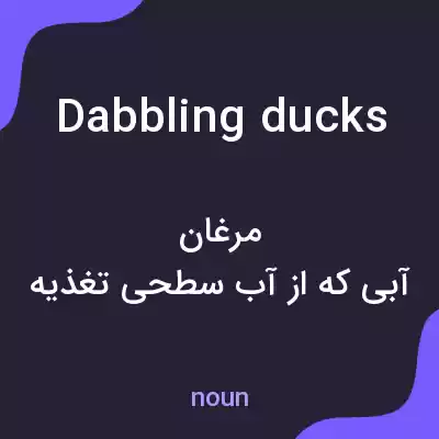 معنی dabbling ducks به فارسی معنی dabbling ducks به فارسی