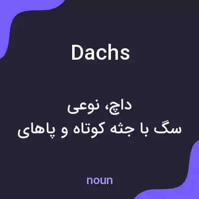 معنی dachs به فارسی