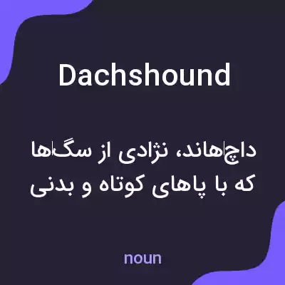 معنی dachshound به فارسی معنی dachshound به فارسی