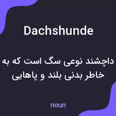 معنی dachshunde به فارسی معنی dachshunde به فارسی
