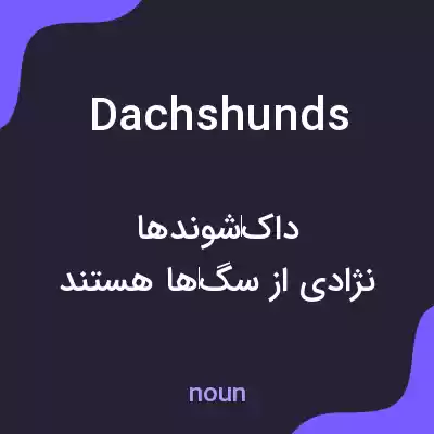 معنی dachshunds به فارسی معنی dachshunds به فارسی