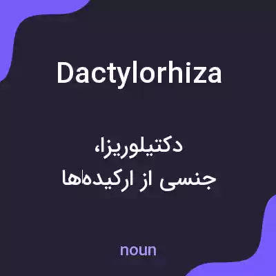 معنی dactylorhiza به فارسی معنی dactylorhiza به فارسی