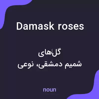 معنی damask roses به فارسی
