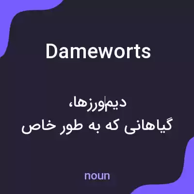 معنی dameworts به فارسی معنی dameworts به فارسی