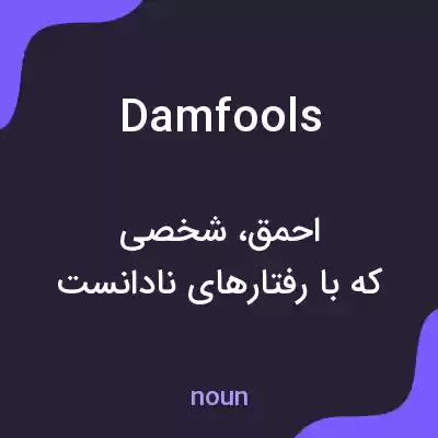 معنی damfools به فارسی معنی damfools به فارسی