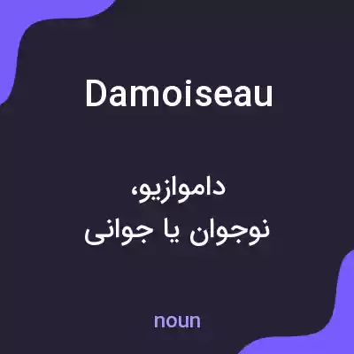 معنی damoiseau به فارسی معنی damoiseau به فارسی