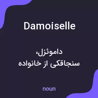 معنی damoiselle به فارسی معنی damoiselle به فارسی