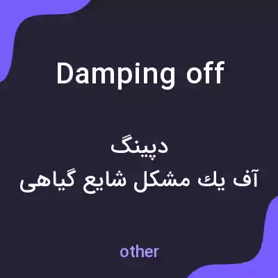 معنی damping off به فارسی معنی damping off به فارسی