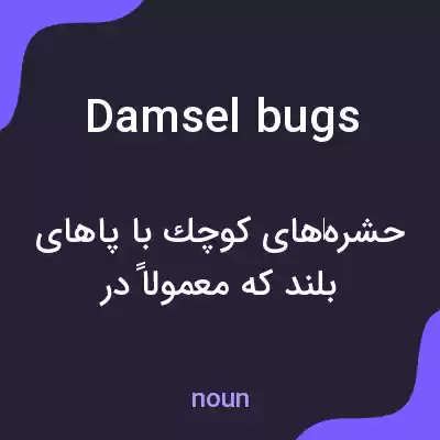 معنی damsel bugs به فارسی معنی damsel bugs به فارسی