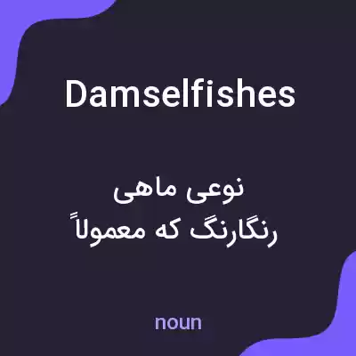 معنی damselfishes به فارسی معنی damselfishes به فارسی