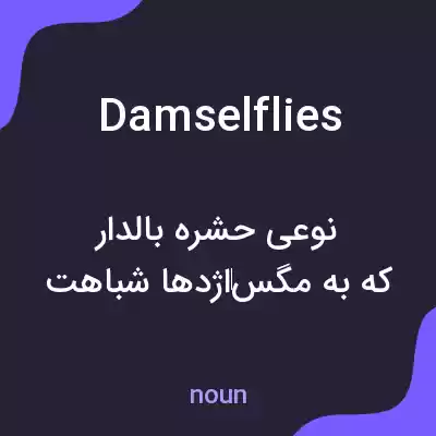 معنی damselflies به فارسی معنی damselflies به فارسی