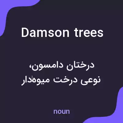 معنی damson trees به فارسی معنی damson trees به فارسی