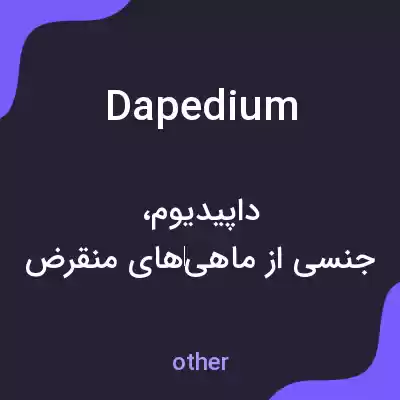 معنی dapedium به فارسی