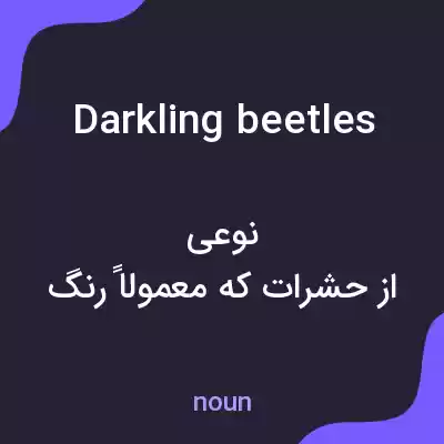 معنی darkling beetles به فارسی معنی darkling beetles به فارسی