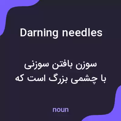 معنی darning needles به فارسی معنی darning needles به فارسی