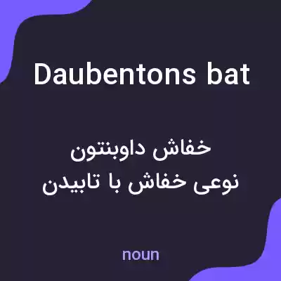 معنی daubentons bat به فارسی