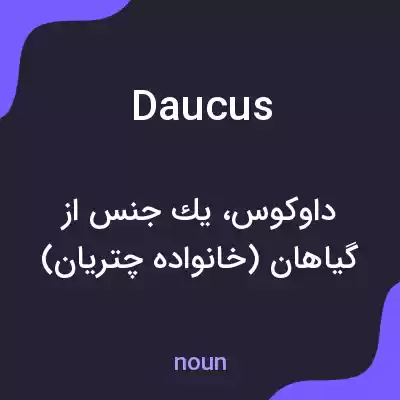 معنی daucus به فارسی معنی daucus به فارسی