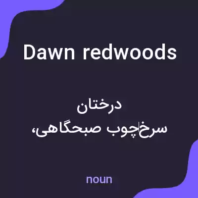 معنی dawn redwoods به فارسی معنی dawn redwoods به فارسی