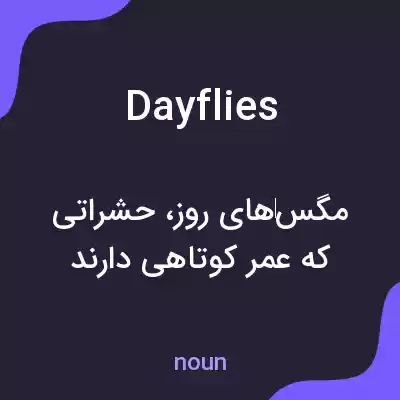معنی dayflies به فارسی معنی dayflies به فارسی