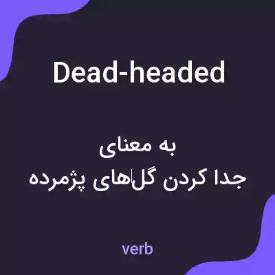 معنی dead-headed به فارسی معنی dead-headed به فارسی