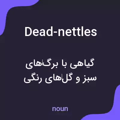 معنی dead-nettles به فارسی