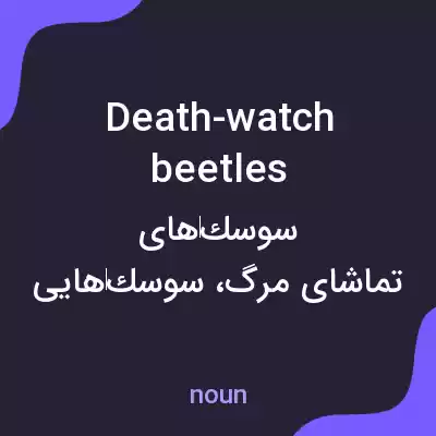 معنی death-watch beetles به فارسی معنی death-watch beetles به فارسی