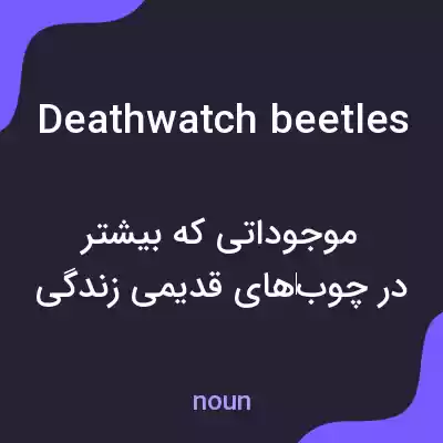 معنی deathwatch beetles به فارسی معنی deathwatch beetles به فارسی