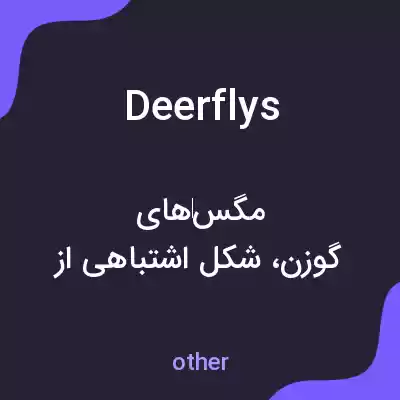 معنی deerflys به فارسی معنی deerflys به فارسی