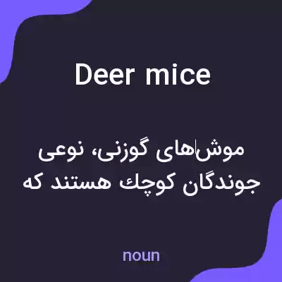 معنی deer mice به فارسی معنی deer mice به فارسی