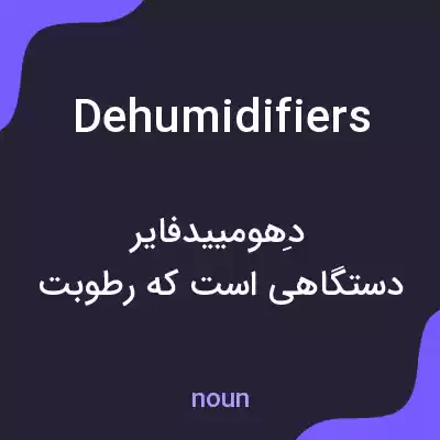 معنی dehumidifiers به فارسی معنی dehumidifiers به فارسی