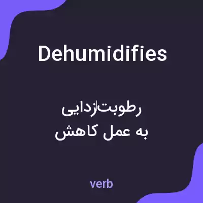 معنی dehumidifies به فارسی معنی dehumidifies به فارسی