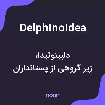 معنی delphinoidea به فارسی معنی delphinoidea به فارسی